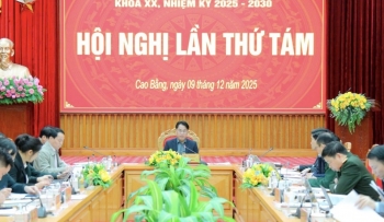 Hội nghị lần thứ 8, Ban Thường vụ Tỉnh ủy Cao Bằng nhiệm kỳ 2025 - 2030