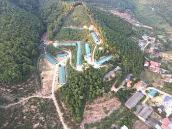 Quảng Ninh: Cần khắc phục tình trạng trại lợn ngang nhiên xả thải ra môi trường