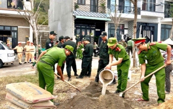 Gia Lai triển khai giải pháp khắc phục hậu quả thiên tai, phục hồi sản xuất
