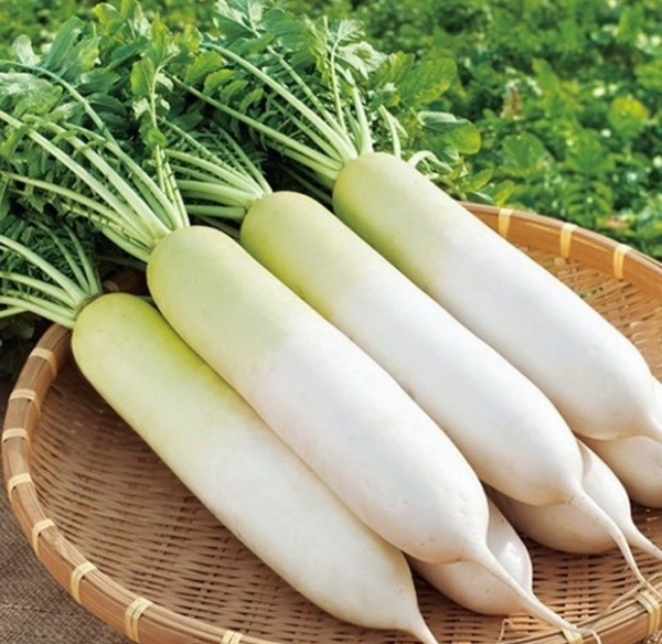 Củ cải trắng - “nhân sâm bình dân” ngoài chợ, rẻ mà bổ không ngờ