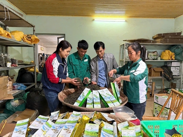 Toàn tỉnh Cao Bằng có trên 2.330 ha vùng nguyên liệu hữu cơ