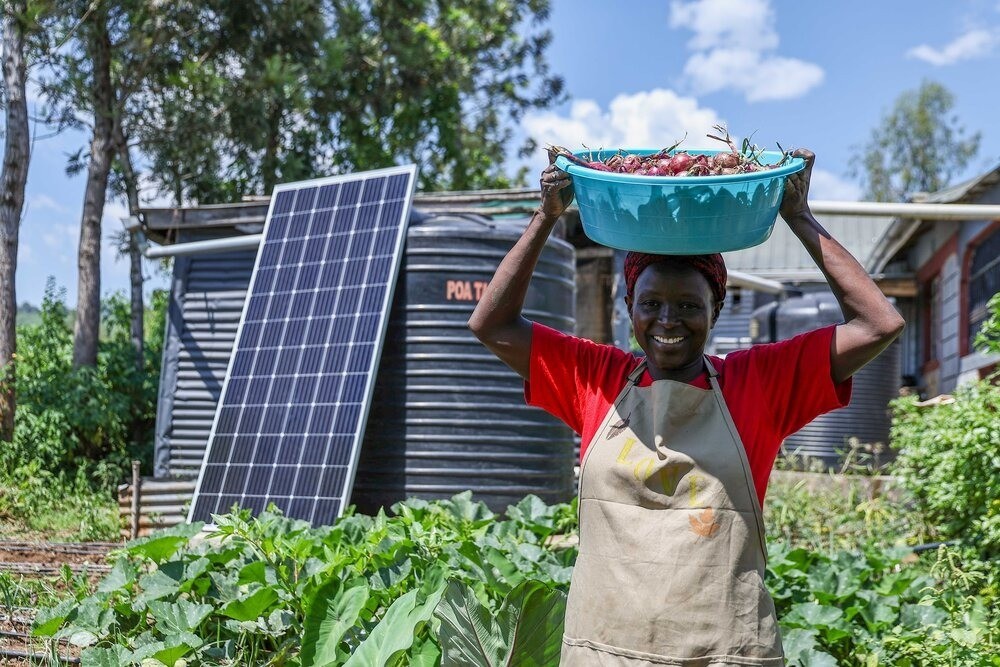 Năng lượng tái tạo: Chìa khóa chuyển đổi hệ thống lương thực bền vững