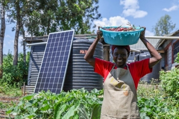 Năng lượng tái tạo: Chìa khóa chuyển đổi hệ thống lương thực bền vững