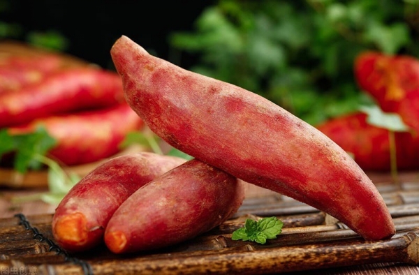 Lợi ích sức khỏe khi ăn vỏ khoai lang