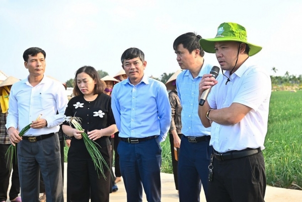 Đẩy mạnh liên kết hữu cơ – nâng cao giá trị nông sản bền vững