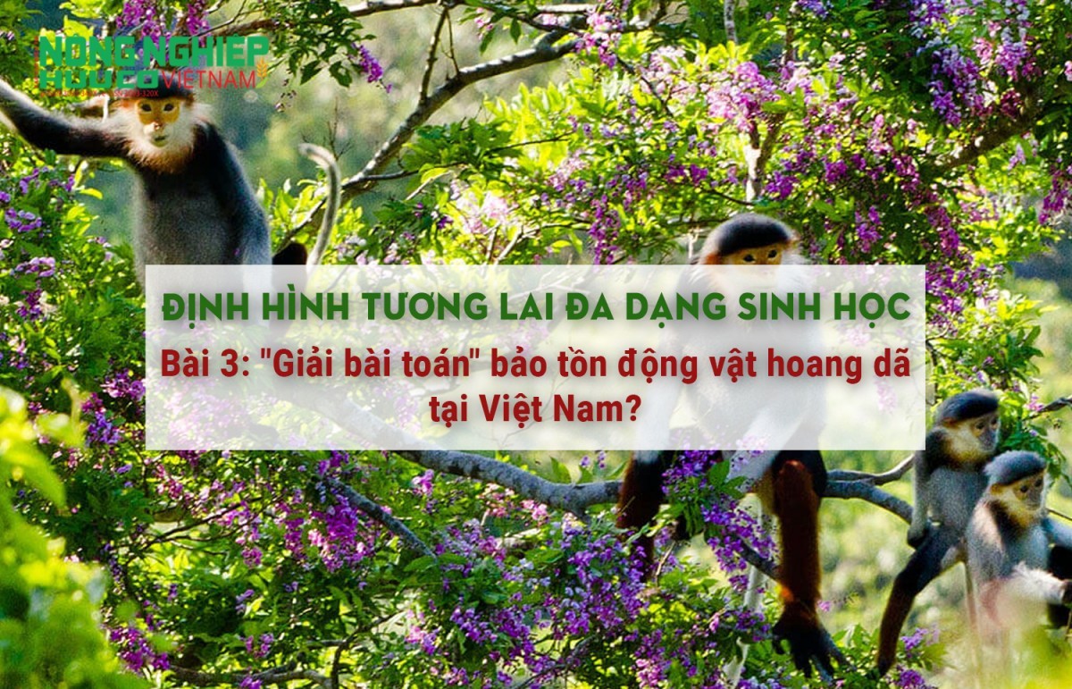 Định hình tương lai đa dạng sinh học - Bài 3: "Giải bài toán" bảo tồn động vật hoang dã tại Việt Nam?