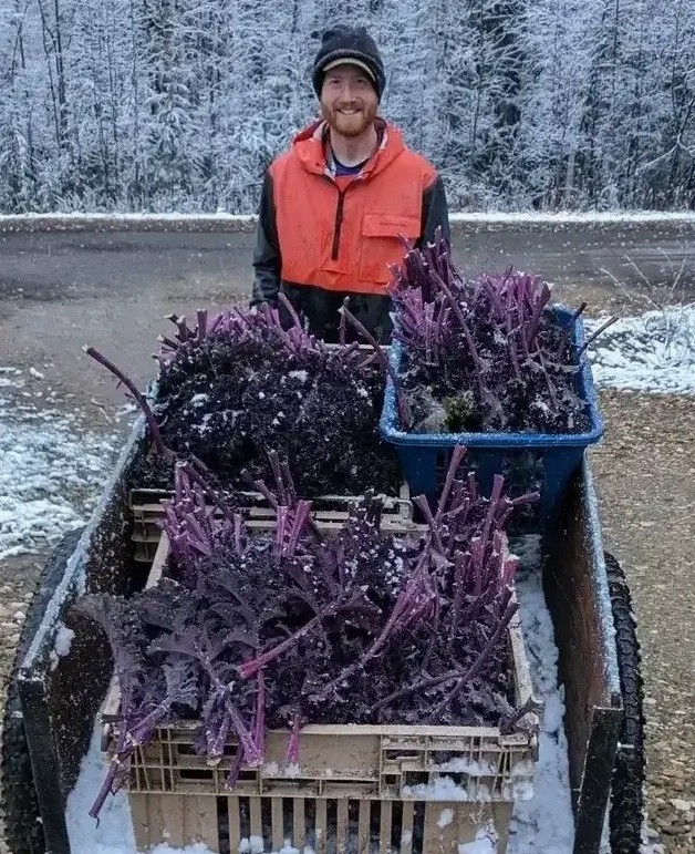 Giải pháp kho lạnh giữa -40°C: Bước ngoặt giúp nông dân Bắc Cực giữ nông sản quanh năm