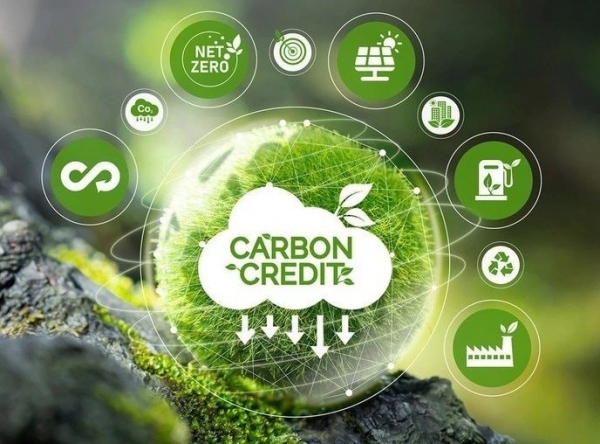 Tín chỉ carbon - “chìa khóa vàng” cho nông nghiệp hữu cơ - Bài 1: “Mỏ vàng mới” trên đồng ruộng