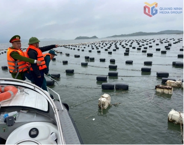 Quảng Ninh: Xã Đầm Hà tháo dỡ 4,5ha nuôi trồng thủy sản trái phép