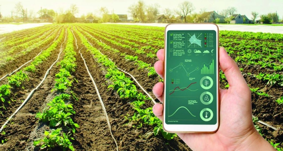 Tín chỉ carbon - “chìa khóa vàng” cho nông nghiệp hữu cơ - Bài 3: "Cuộc chơi" liên kết chuỗi giá trị và sức mạnh công nghệ