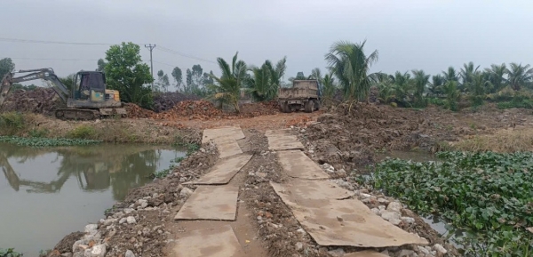 Hải Phòng: Hàng trăm mẫu ruộng "kêu cứu" trước nguy cơ bị "bức tử"