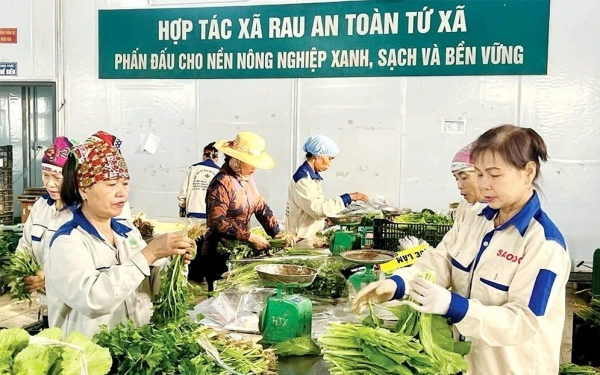 Nông nghiệp hữu cơ - Xu thế tất yếu của nông nghiệp hiện đại
