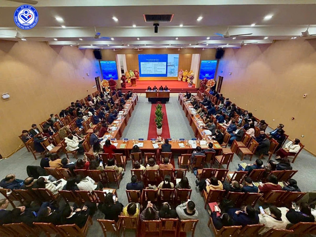 Khẳng định vai trò đầu tàu - Hướng tới chỉ đạo tuyến bền vững, đồng bộ và chuyên sâu