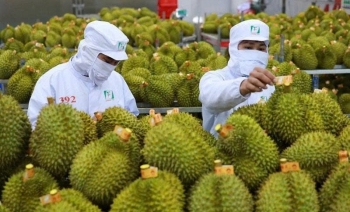 Lâm Đồng kêu gọi đầu tư Trung tâm kiểm nghiệm chất lượng nông sản