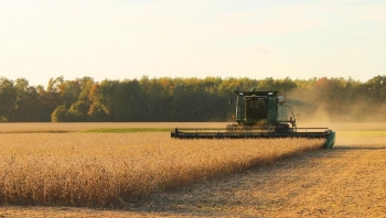 Nông dân đậu tương tại Mỹ lo ngại phản ứng thương mại từ Trung Quốc