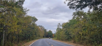 Đắk Lắk: Tăng cường các biện pháp quản lý, bảo vệ và phòng cháy, chữa cháy rừng