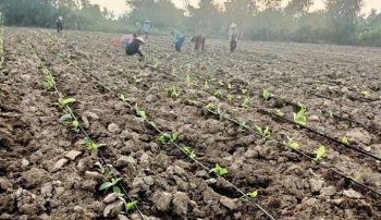 Ứng dụng công nghệ tưới nước tiên tiến nhằm nâng cao hiệu quả sản xuất nông nghiệp