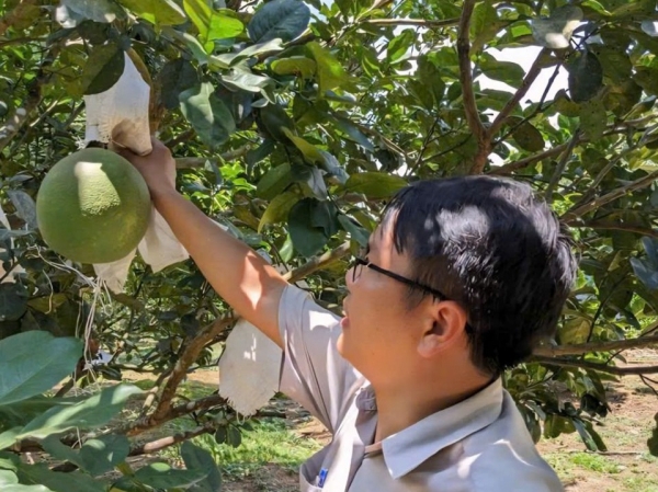 Sản xuất theo tiêu chuẩn VietGAP - Hướng đi bền vững cho nông nghiệp Gia Lai