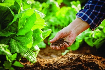 Hữu cơ không còn là “trào lưu”,  đó là con đường tất yếu  của nền nông nghiệp bền vững