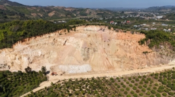 Bộ Nông nghiệp và Môi trường lập đường dây nóng tiếp nhận, xử lý phản ánh vi phạm về quản lý và sử dụng đất đai