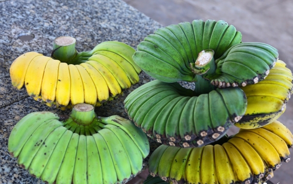 Nải chuối có hình dáng lạ, nhiều người muốn "săn" về chưng Tết dù giá cao