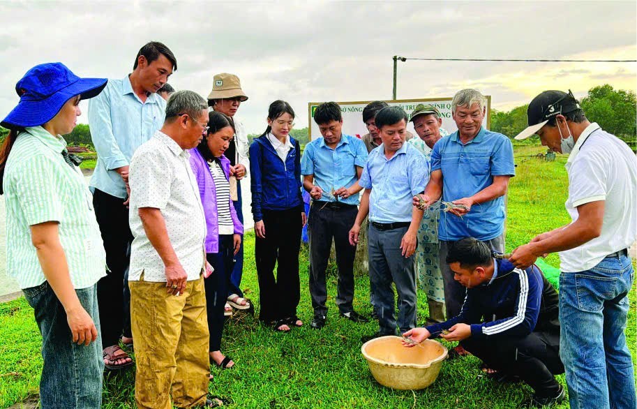 Chú trọng phát triển các mô hình sản xuất đạt chứng nhận hữu cơ gắn với liên kết tiêu thụ sản phẩm