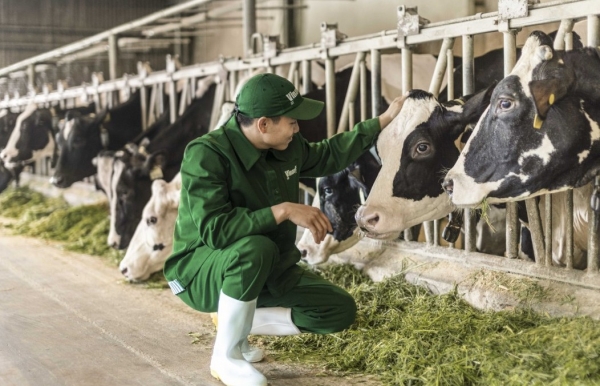 Vinamilk và hành trình nâng tầm vị thế doanh nghiệp Việt trên bản đồ ngành sữa thế giới