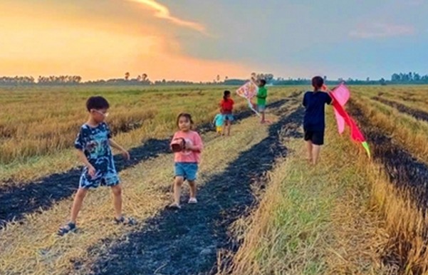 Mùa xuân và cánh đồng tuổi thơ