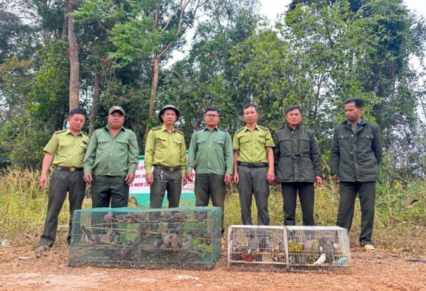 Công tác bảo vệ động vật hoang dã và nguồn lợi thủy sản: Vi phạm vẫn còn diễn biến phức tạp