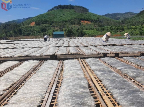 Nông sản Quảng Ninh: Từ lợi thế bản địa đến giá trị kinh tế xanh bền vững