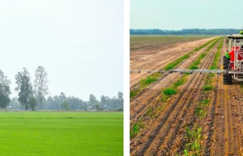 Ngành nông nghiệp với khát vọng chuyển mình