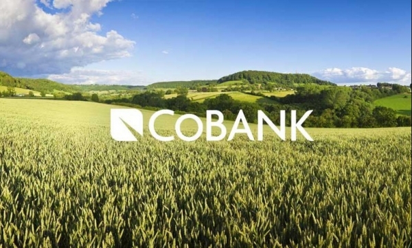 CoBank công bố dữ liệu thương mại nông sản Hoa Kỳ cuối năm 2025