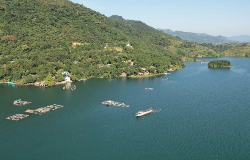 Nuôi cá lồng trên Hồ Hòa Bình: Hướng đi bền vững cho kinh tế vùng cao