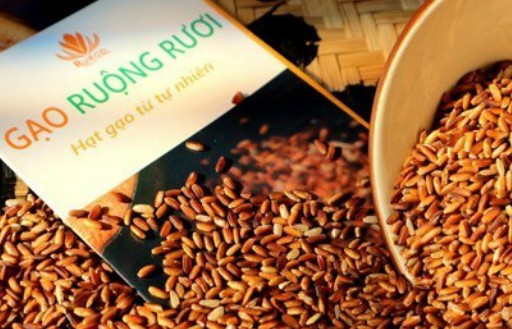 Gạo ruộng rươi Kiến Quốc - Tinh hoa từ hệ sinh thái tự nhiên