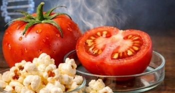 Cà chua có mùi bắp rang nhờ công nghệ chỉnh sửa gien