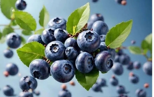 Thực phẩm màu tím giúp trẻ hóa làn da từ bên trong