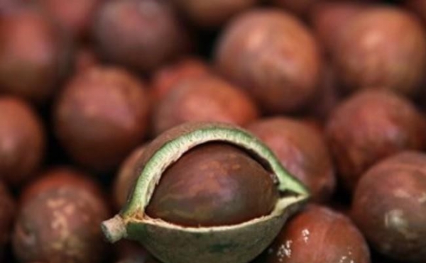 Venezuela thúc đẩy xuất khẩu cacao và cà phê sang Trung Quốc