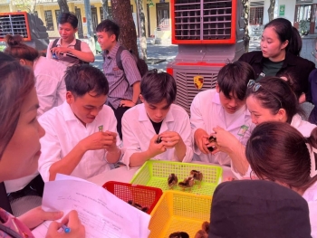 Ngành Chăn nuôi và Thú y: Cơ hội việc làm rộng mở, yêu cầu đào tạo ngày càng cao