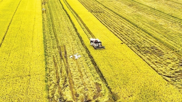 Ngành trồng trọt trên hành trình giảm phát thải