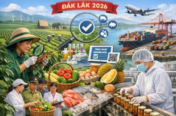 Đắk Lắk triển khai đồng bộ giải pháp bảo đảm an toàn thực phẩm, phát triển thị trường nông sản năm 2026