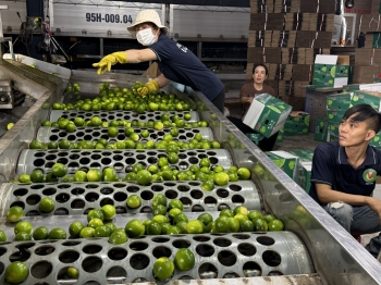 Cải thiện công nghệ bảo quản nông sản để giảm chi phí xuất khẩu