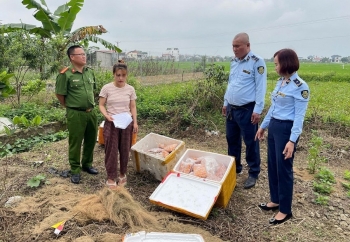 Xử phạt cơ sở kinh doanh thực phẩm đông lạnh không rõ nguồn gốc trên Facebook