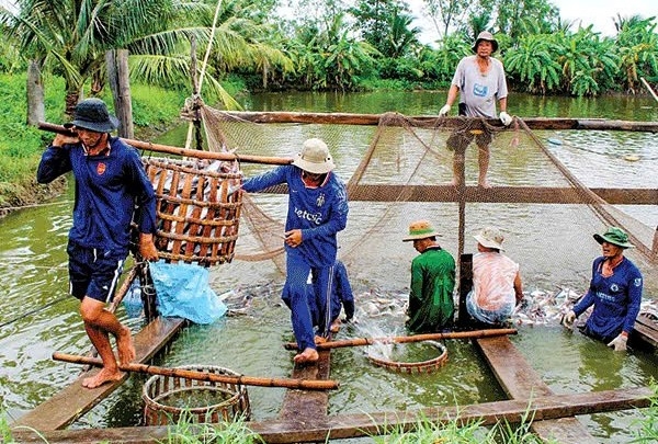 Đồng Tháp tăng cường quản lý nuôi trồng thủy sản trước nguy cơ nắng nóng, hạn mặn và mưa bão năm 2026