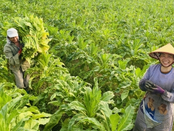 Cao Bằng: Quý I, mức tăng trưởng GRDP đạt 7,5%