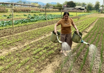 Quỹ Hỗ trợ nông dân tỉnh Cao Bằng vận động được hơn 5,8 tỷ đồng