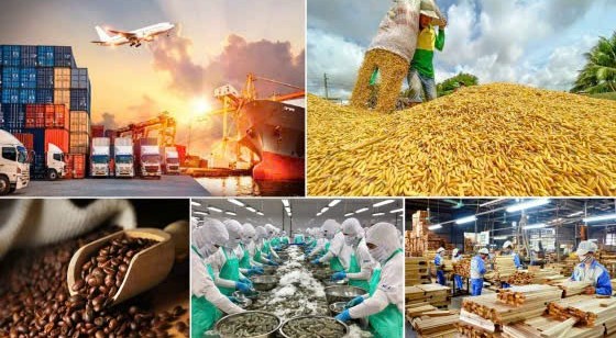 Nông nghiệp Việt Nam "bứt tốc" chuyển đổi xanh, gia tăng giá trị