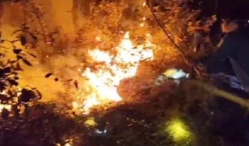 Nắng nóng gay gắt, liên tiếp xảy ra các vụ cháy rừng ở Nghệ An