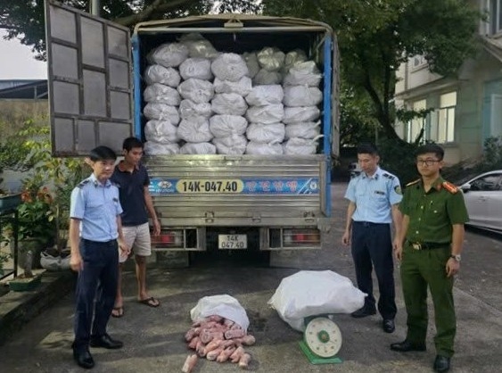 Quảng Ninh: Ngăn chặn hơn 12 tấn chân lợn đông lạnh không rõ nguồn gốc