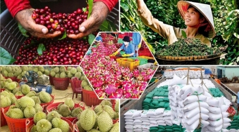 Lâm Đồng tìm cơ hội mở rộng hợp tác thương mại với Man-đi-vơ