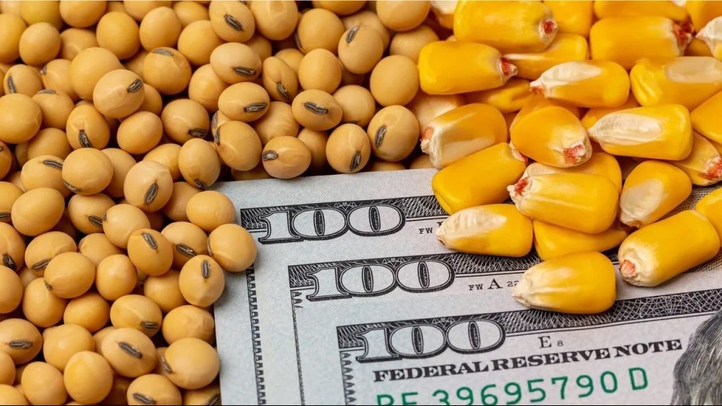 hang ty usd ho tro nong nghiep da duoc giai ngan nhung nong dan hoa ky van doi mat thua lo